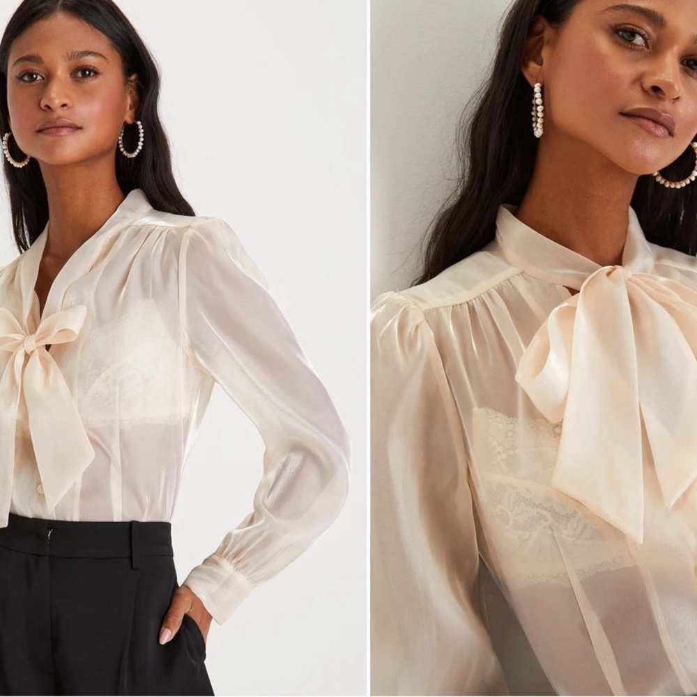 Sheer Button Down Top With Tie Neck
